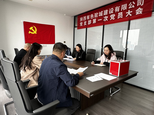 凝心聚力启新程，有色驼城党支部正式成立！