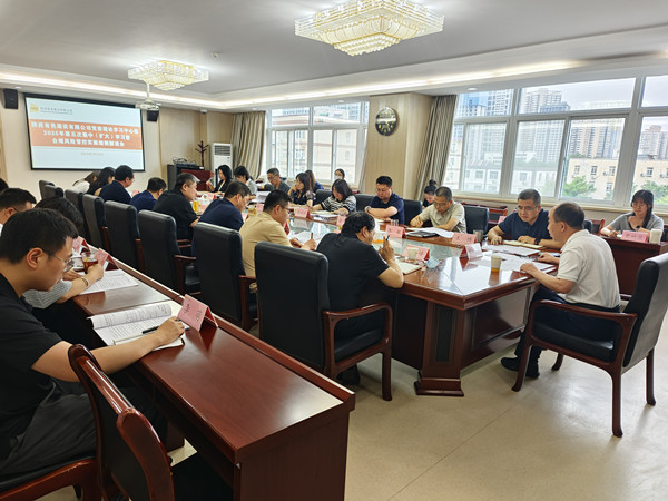 国企改革深水区里的“有色陕建答卷”