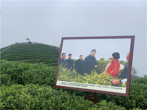 QQ图片20200814110420.jpg